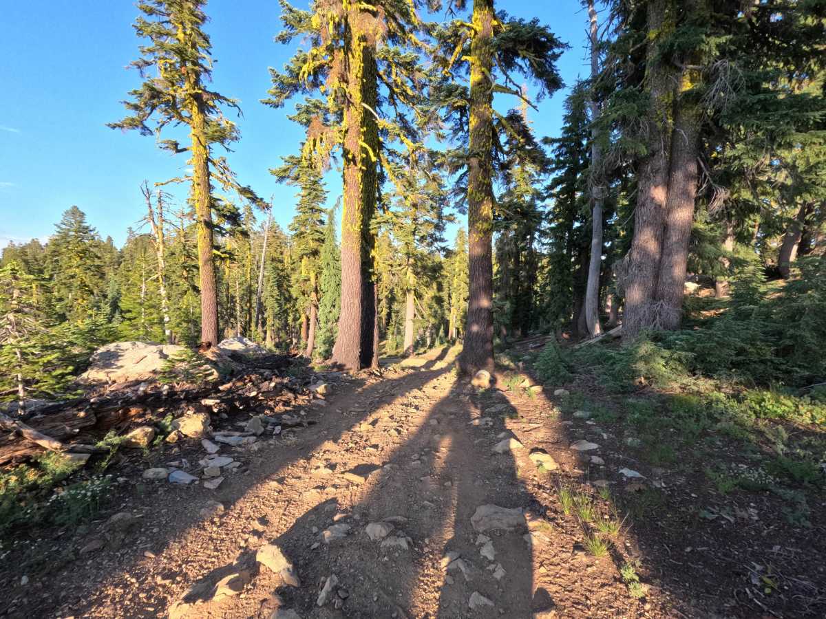 Gold Lake Shore Upper Segment - FS 12M01 photo 4