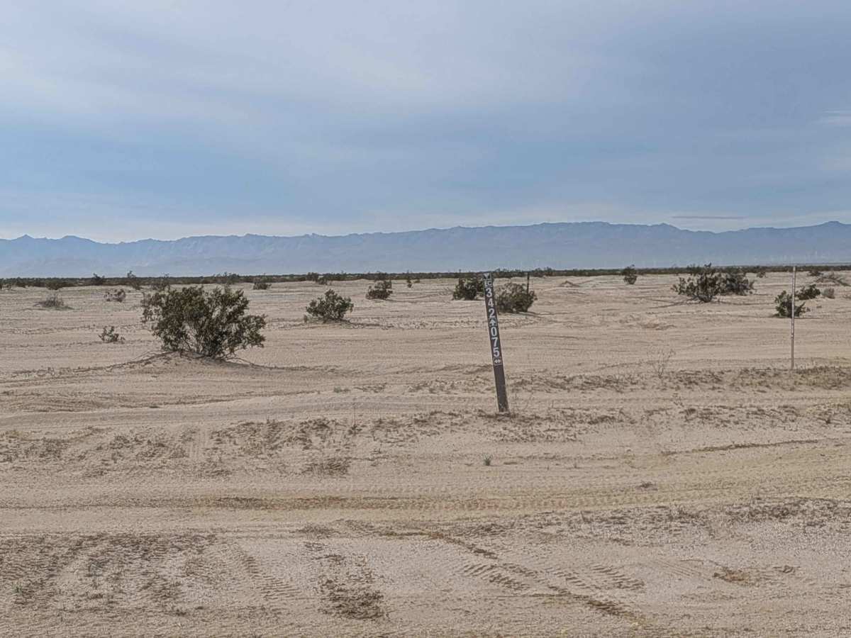 BLM 342 photo 3
