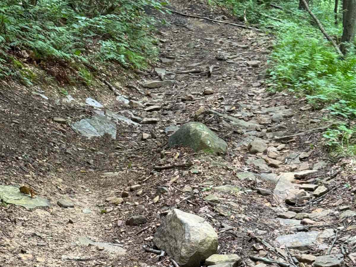 Trail 29 photo 5