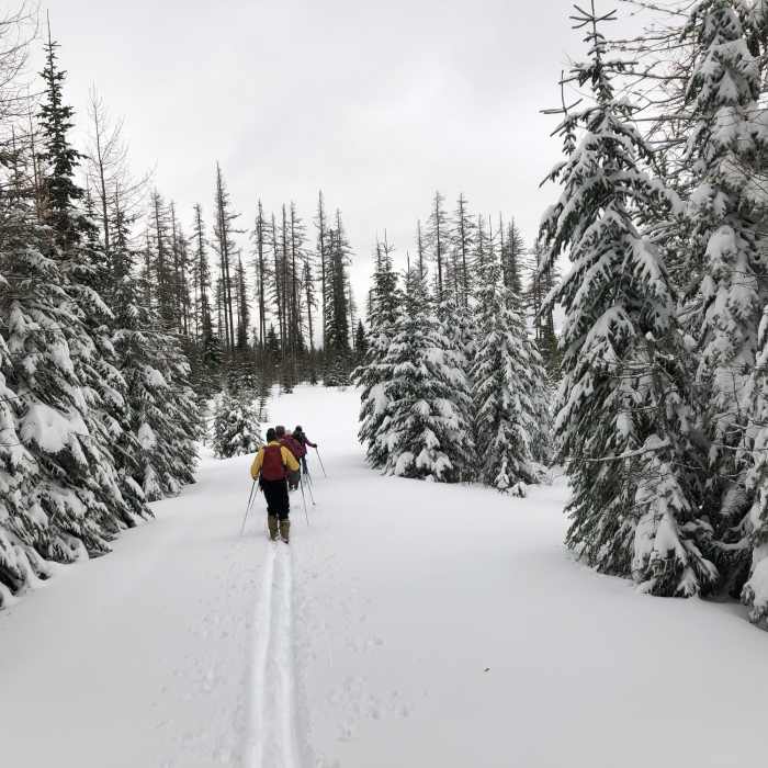 Near Enchanted Forest (Snow Trail)