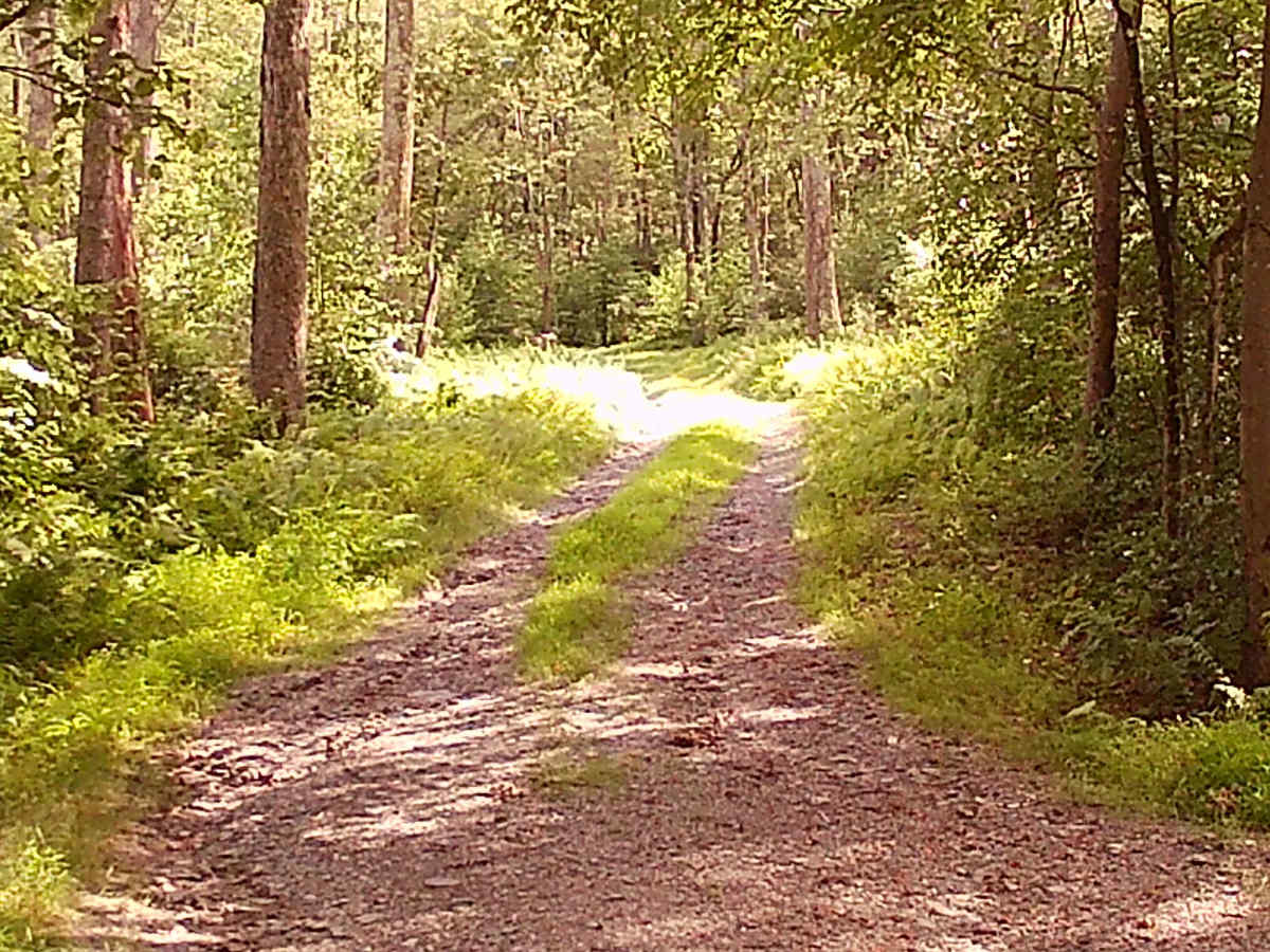 Old Mingle road photo 3