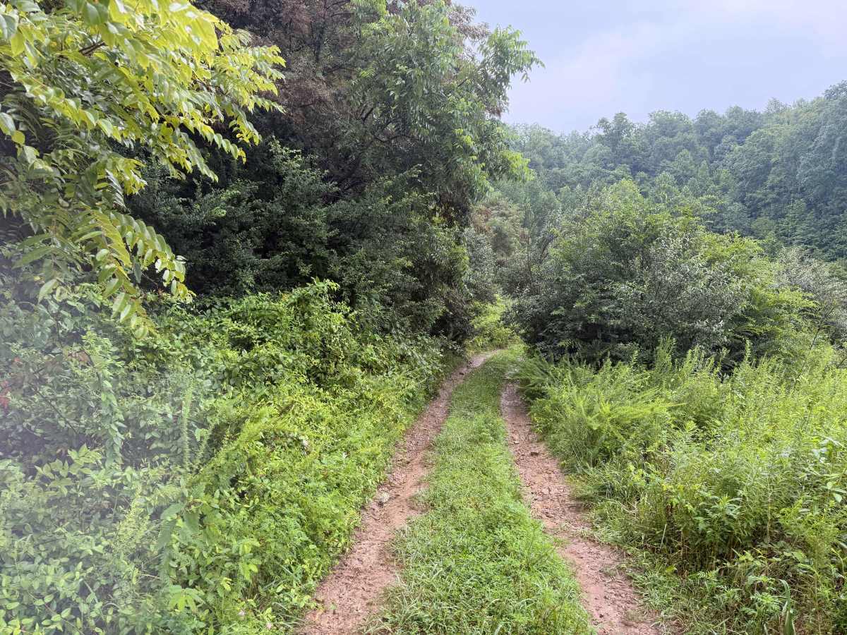 11-A trail photo