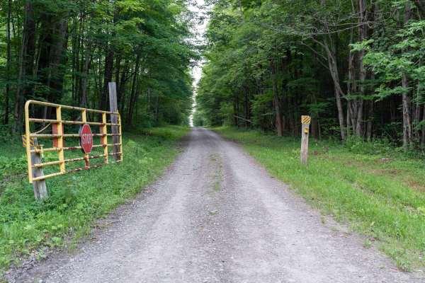 Norton Forest Road
