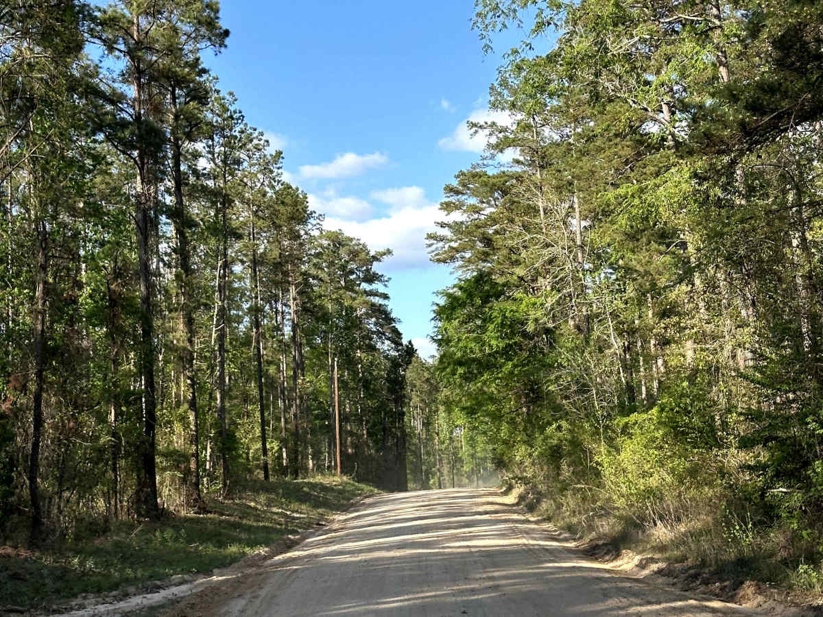 County Road 1165 photo 5