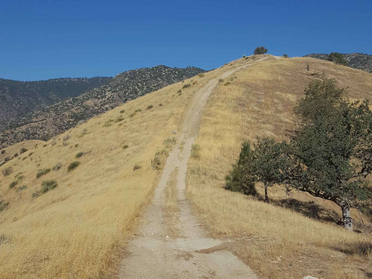 Hogeye Ridge Trail - FS 32E45 photo 2