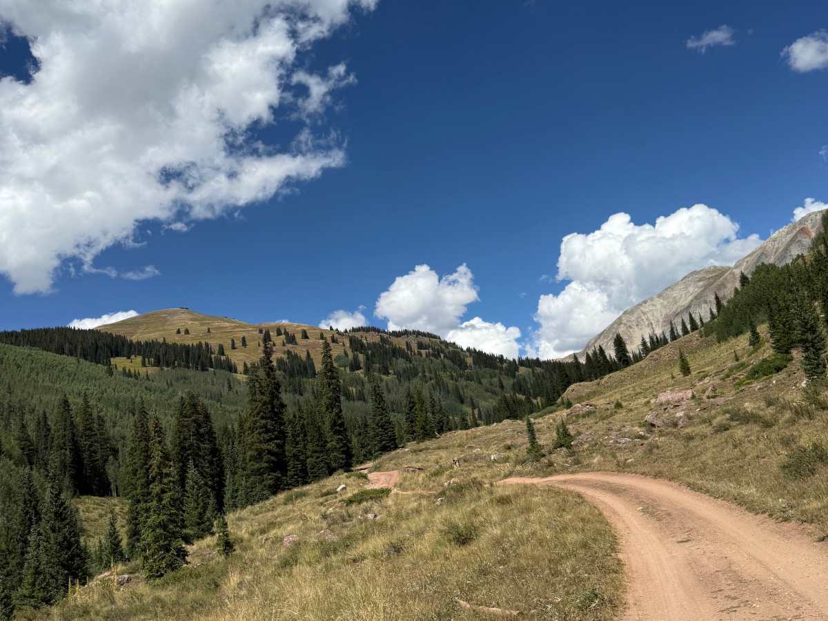 Cement Creek Road - FS 740 photo 4