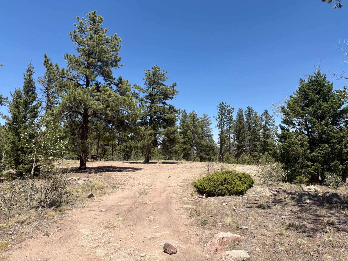 Great View Road - FS 245 photo 6