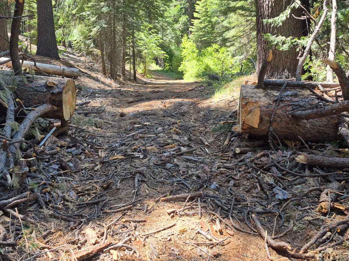 Helester - FS 19-016 trail photo