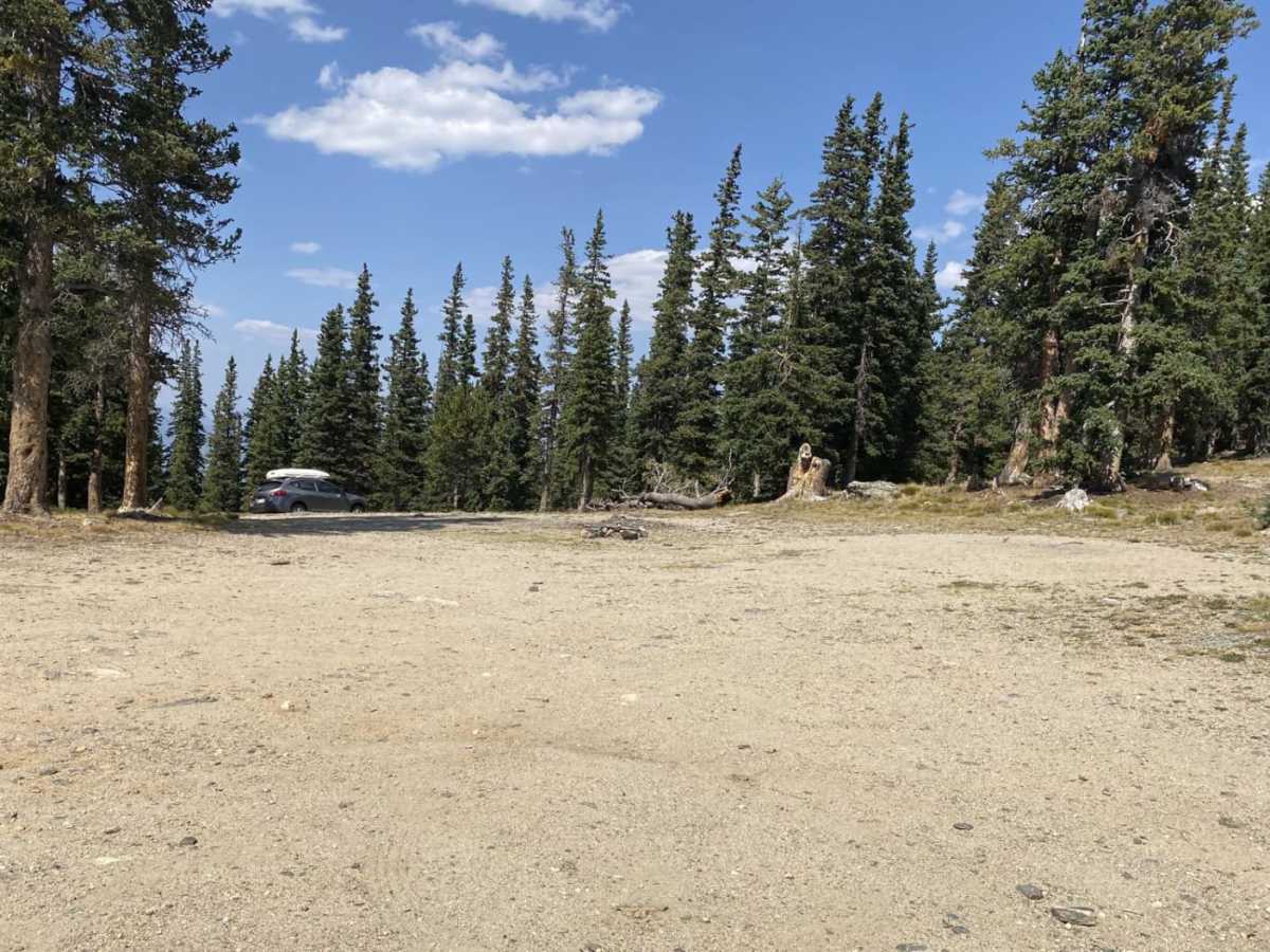 Squaw Mountain Lookout trail photo