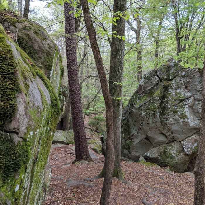 Orange Trail Near Boulder Gorge Loop