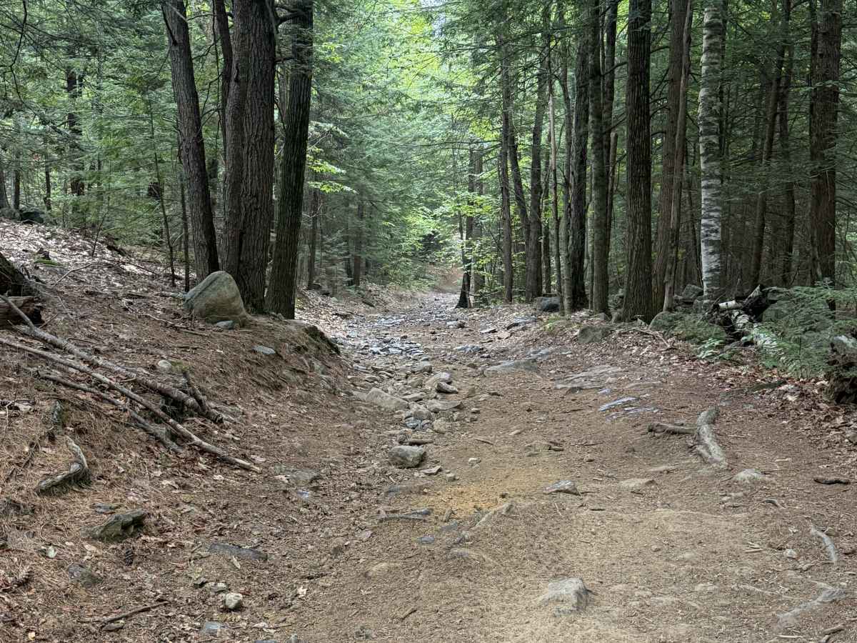 Bear Pond Road photo 5