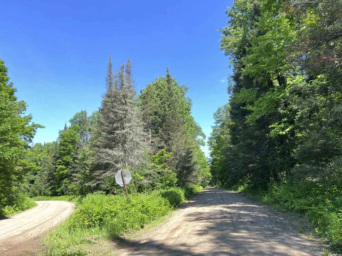 Browns Road - FS 2132 trail photo