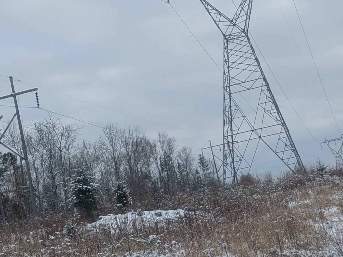 Stoneridge Hydro Logging Road photo 2