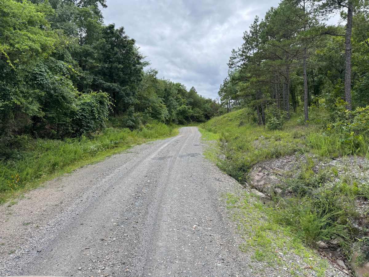 High Shoals Road photo 2