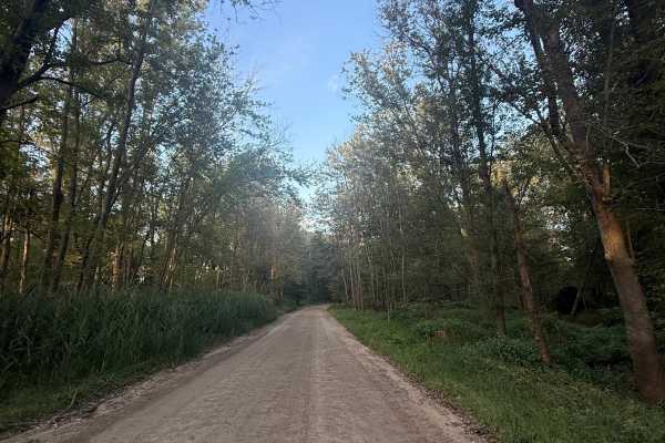 West Schafer Trail