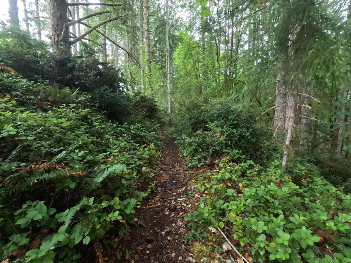 Twin Lakes Trail photo 5