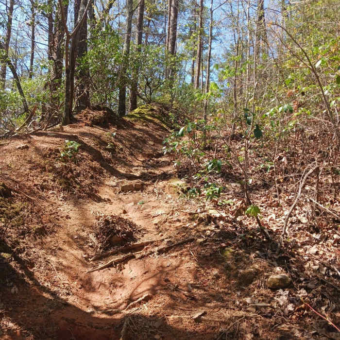 Near Champion Creek Trail