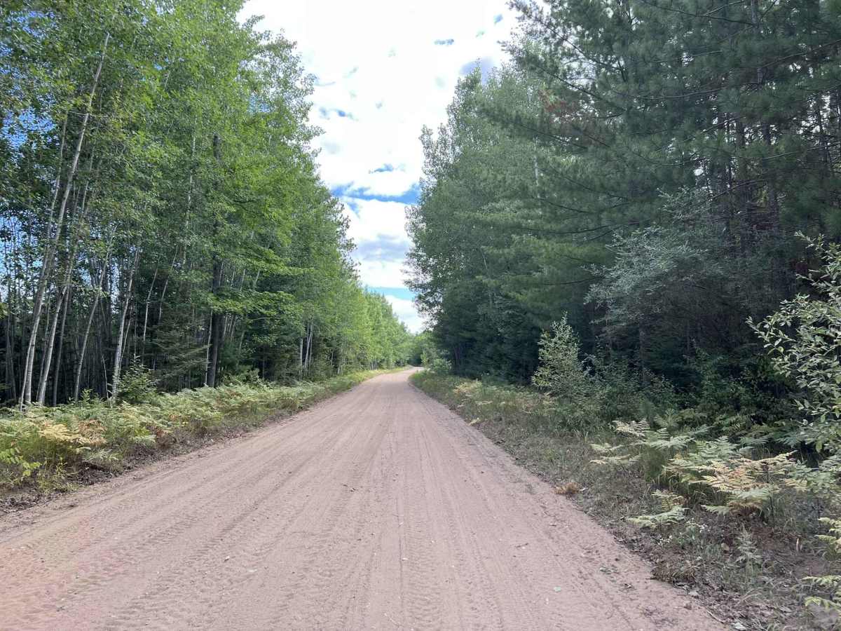 Route FIR - Forest Road 31616 photo 5