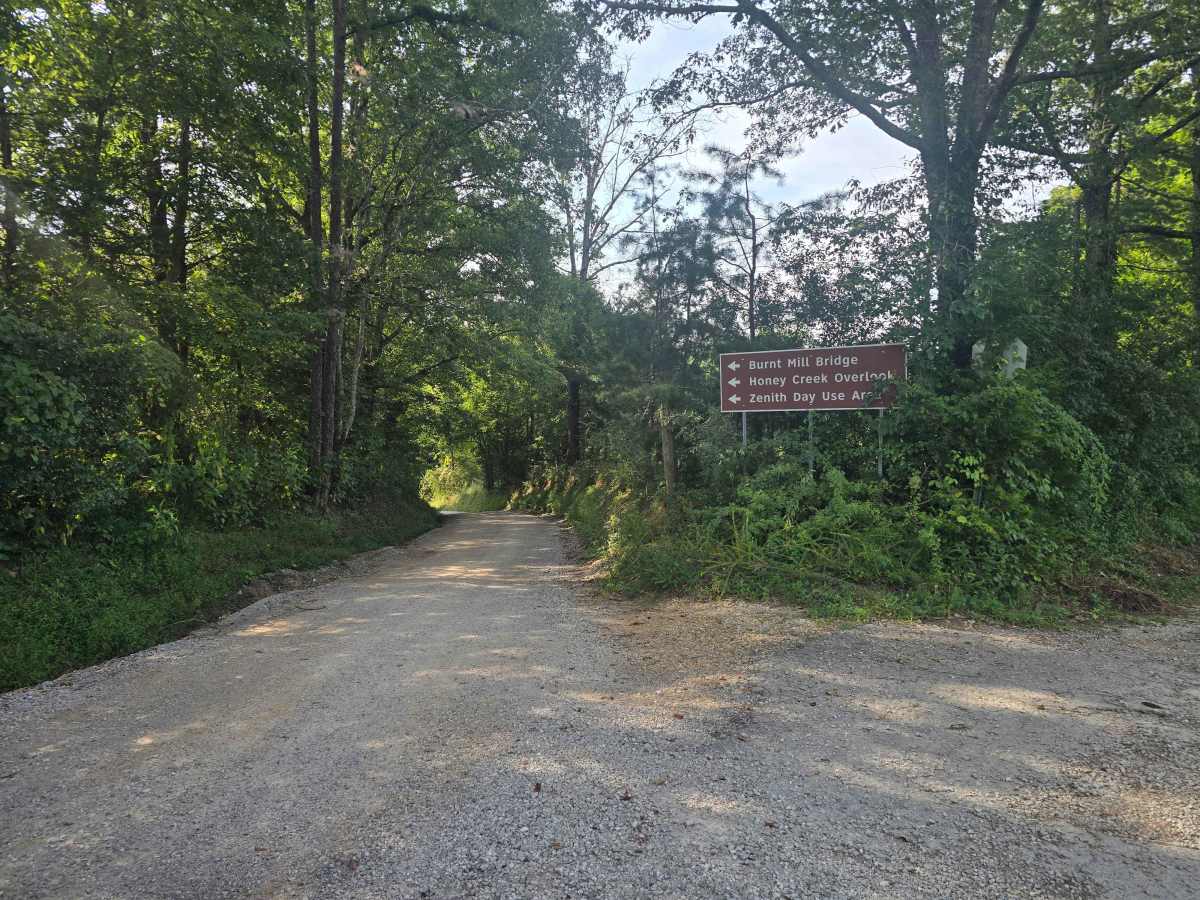 Honey Creek Loop Road trail photo
