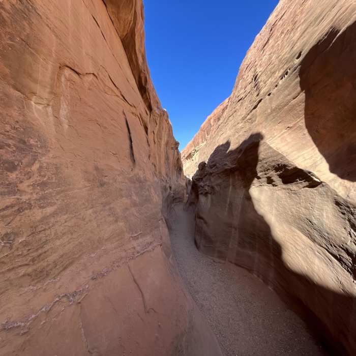 Near Upper Dry Fork Loop