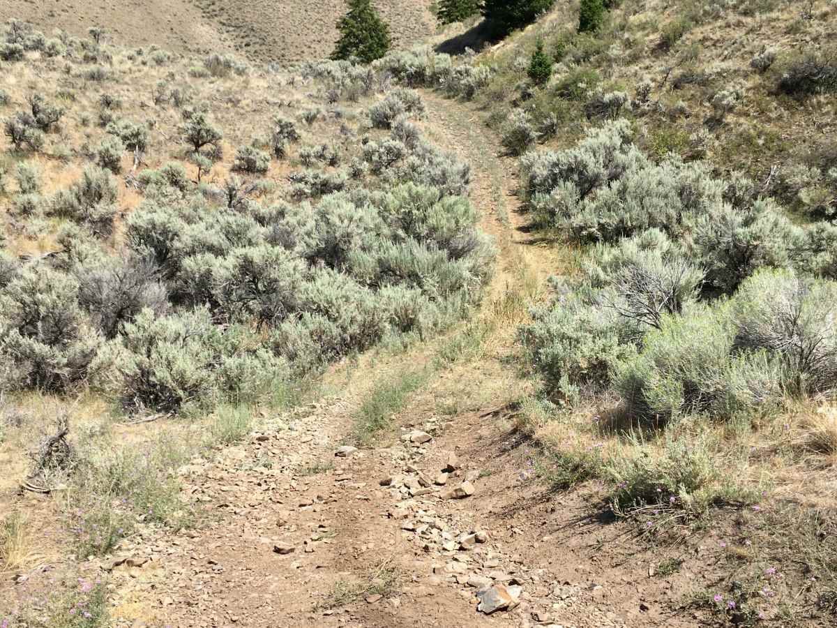 Queen - Agency ATV Route photo 5