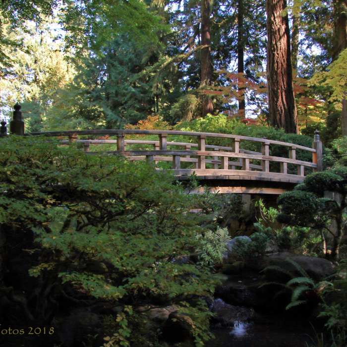 Near Japanese Garden Trail