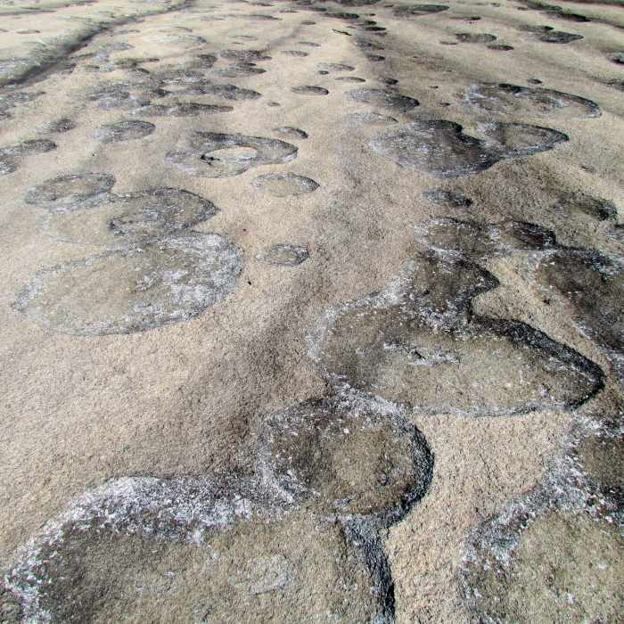 A closeup of the unique formations visible along the Cedar Rock trail at Stone Mountain State Park. Near Cedar Rock Trail