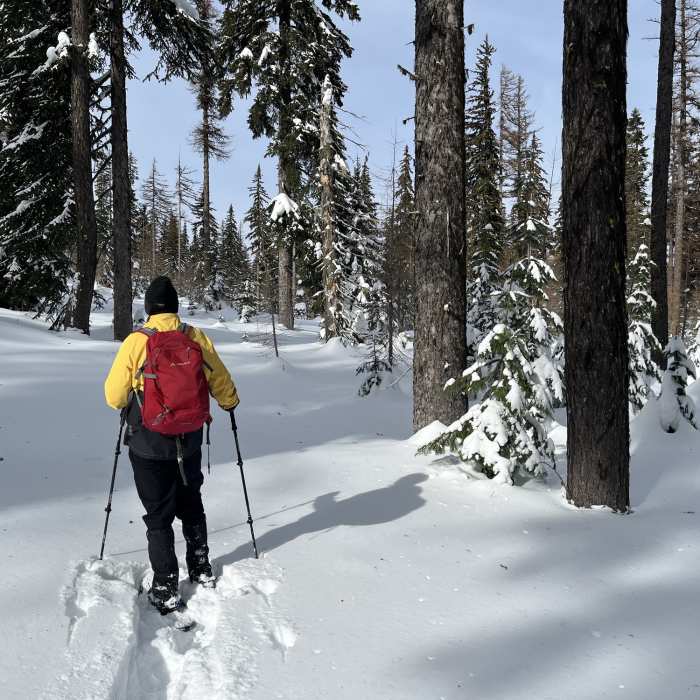 Near Pine Marten Trail