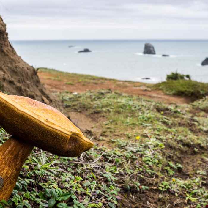 Near Blacklock Point Hike