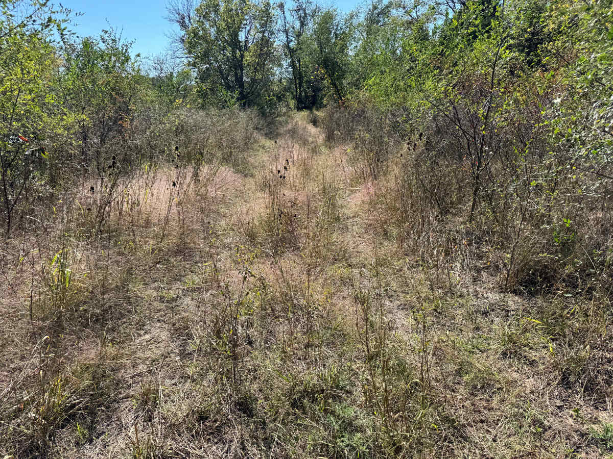 Blown Turbo Trail trail photo