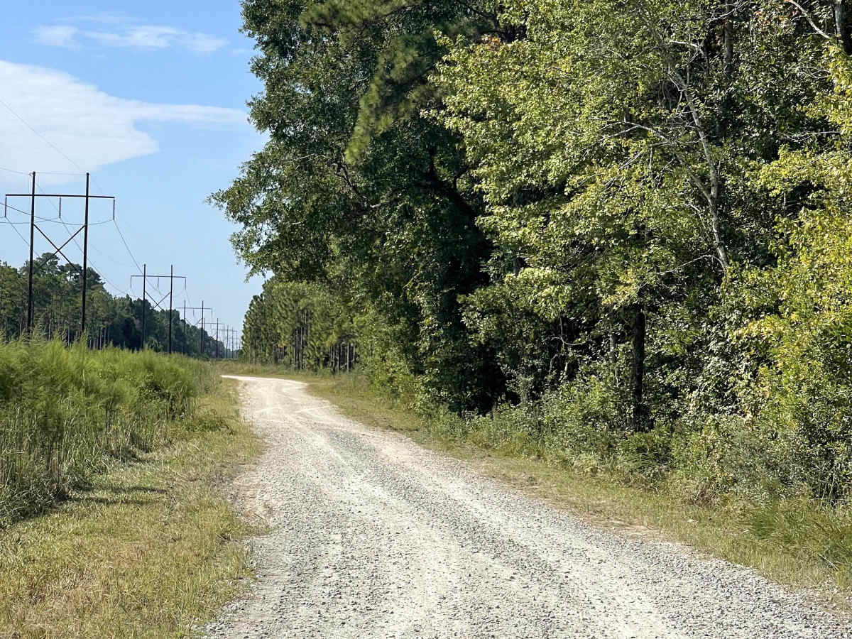 MST 12 trail photo