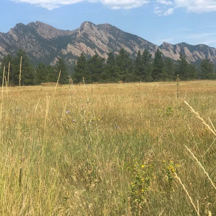Near Flatirons Vista North