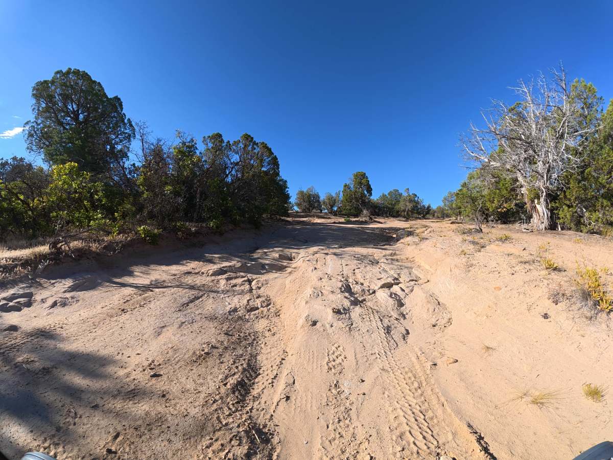 CR 36.2 photo 4