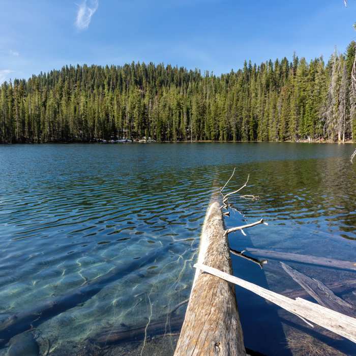 Near Lassen Lakes Loop