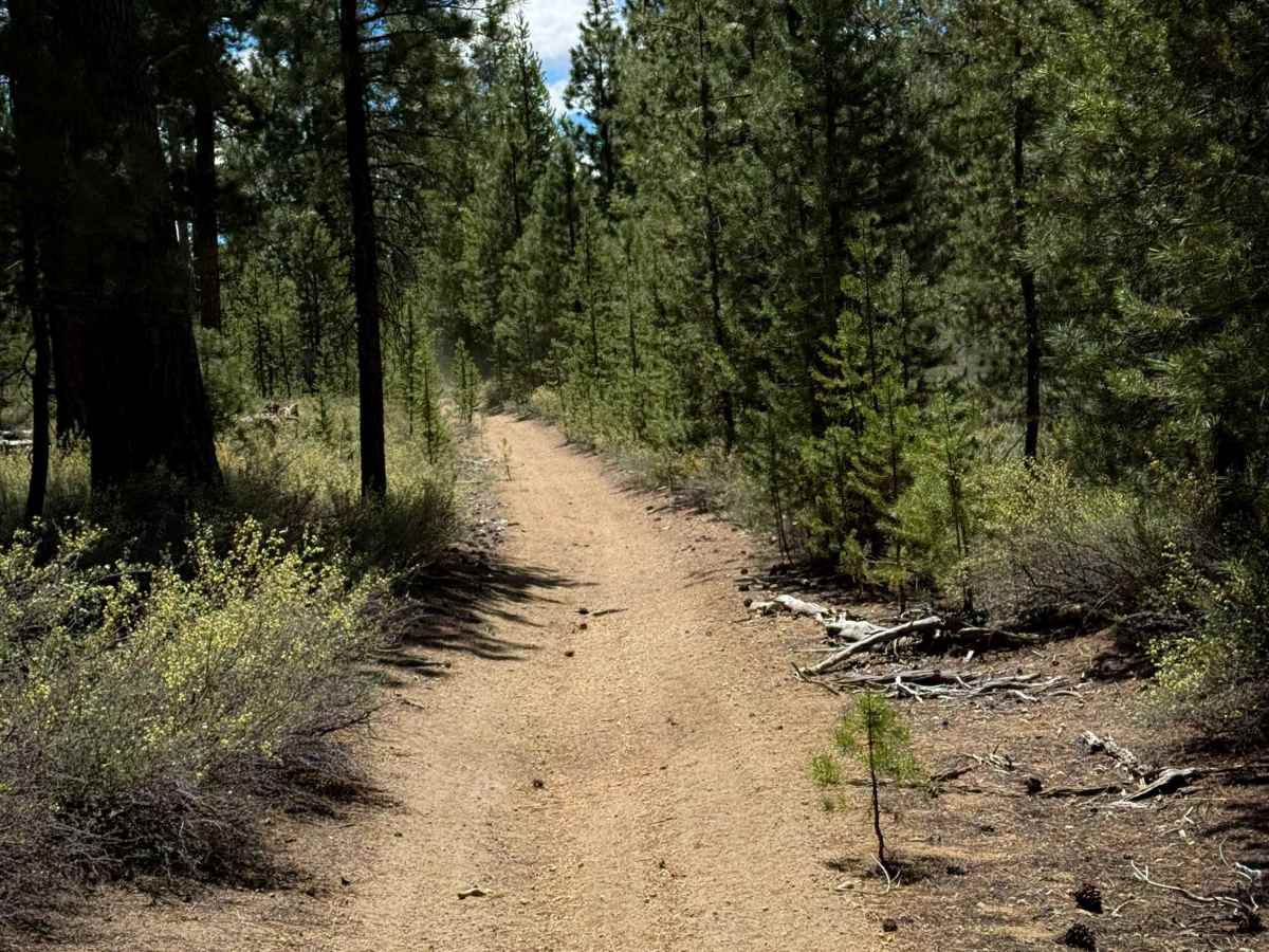 Trail 20  photo 2