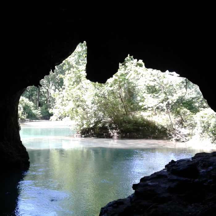 Near Cave Spring Trail