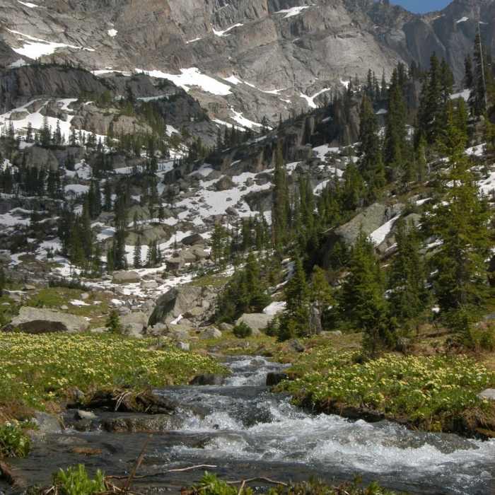 The sheer rock walls of the Continental Divide loom majestically over open meadows and early summer snow. Near East Inlet Trail