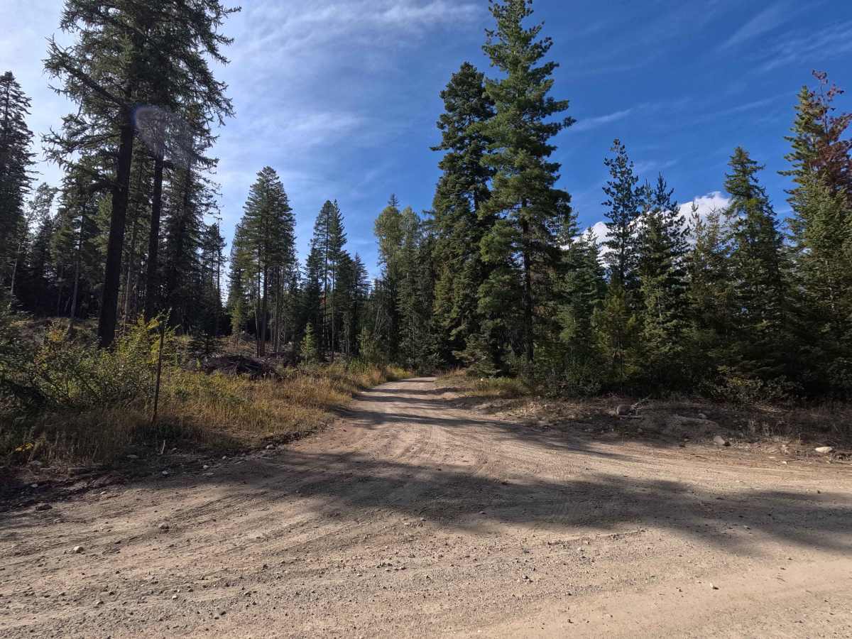 FS 1700440 trail photo
