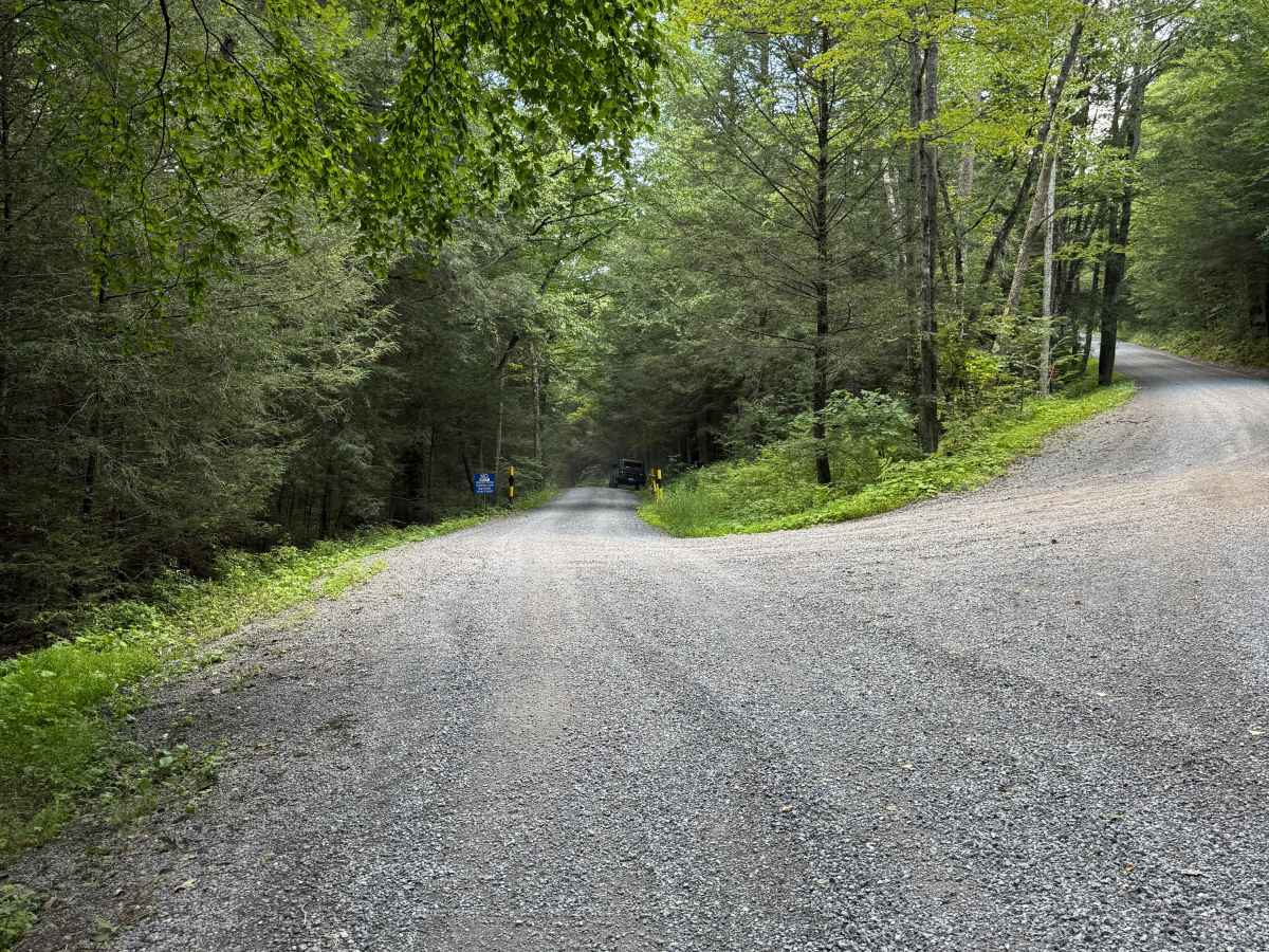 Lower Pine Bottom Road photo 4