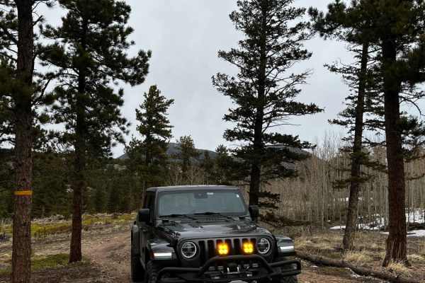 Rifle Road