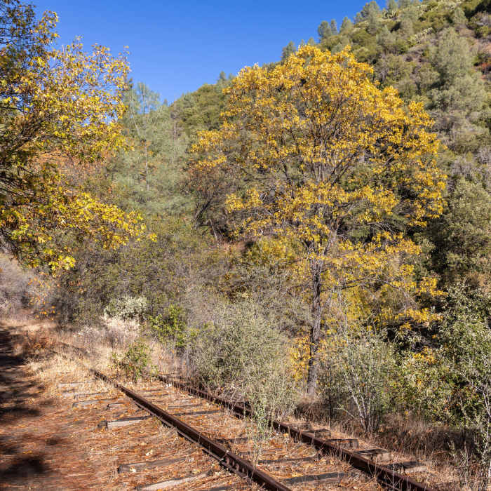 Near West Side Rails Trail
