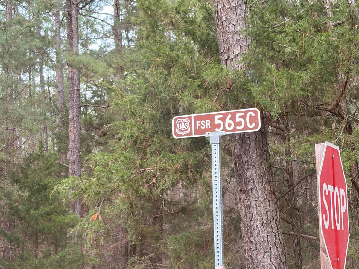 FS 565C trail photo