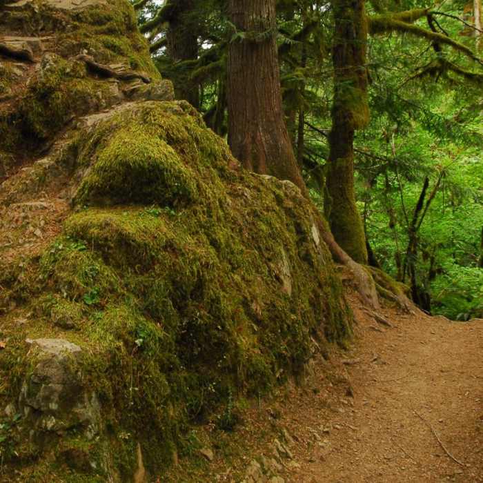 Near Salmon River, West Canyon Trail