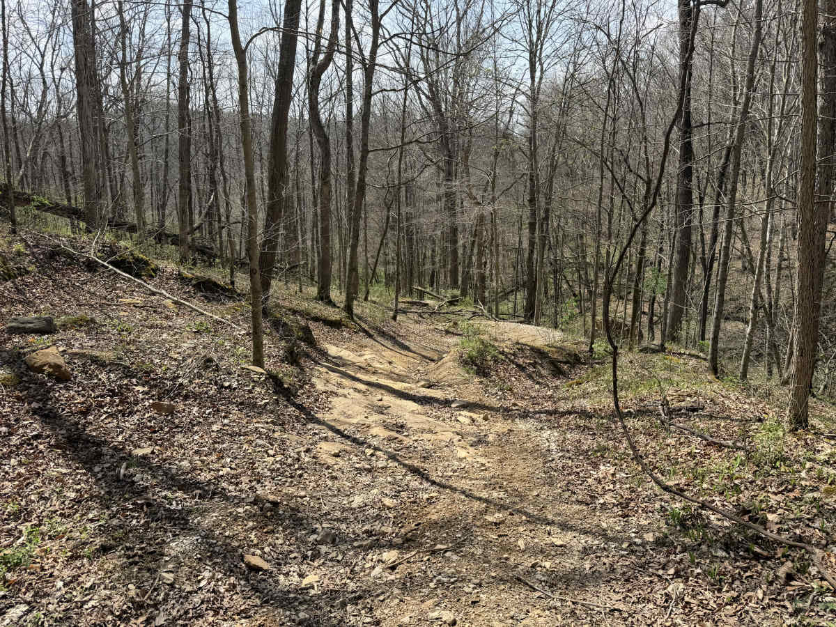 Bear Top Loop trail photo