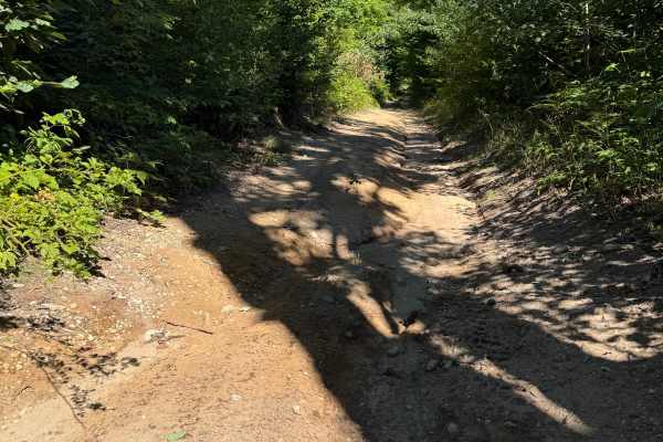 Alkire Trail