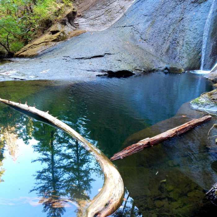 Near Wolf Creek Falls Trail