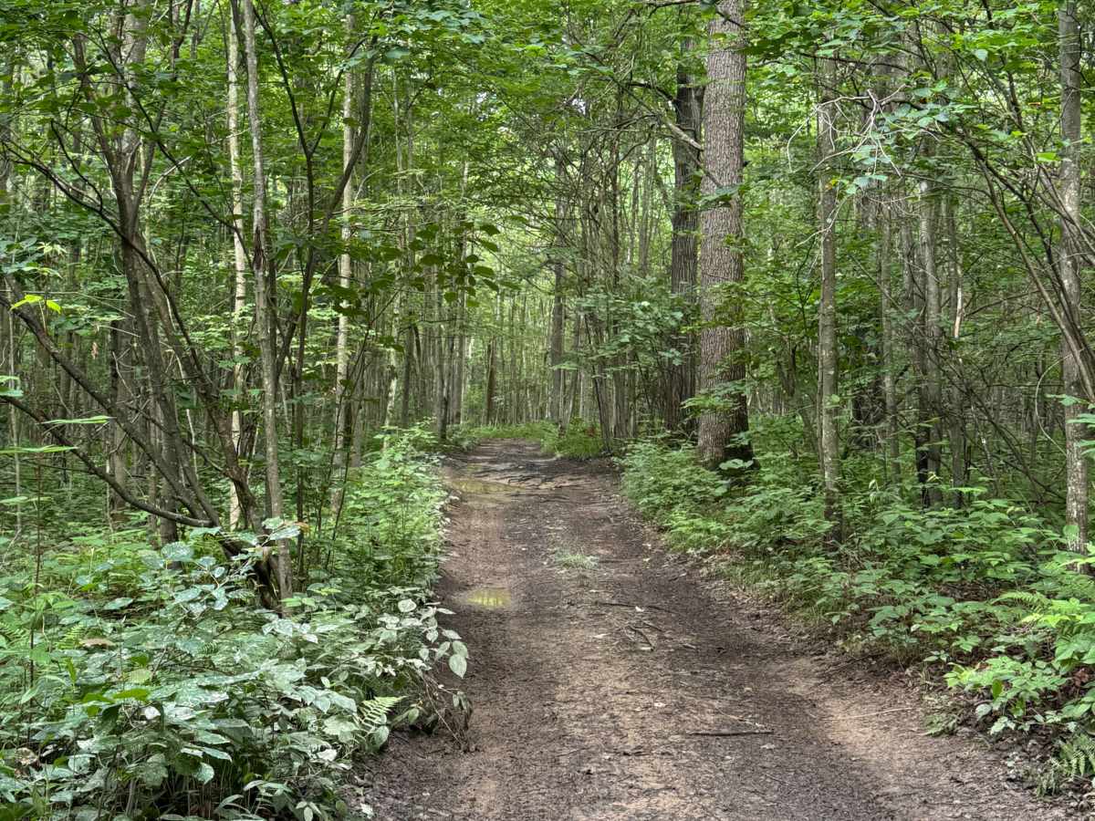 Trail 19 photo 4
