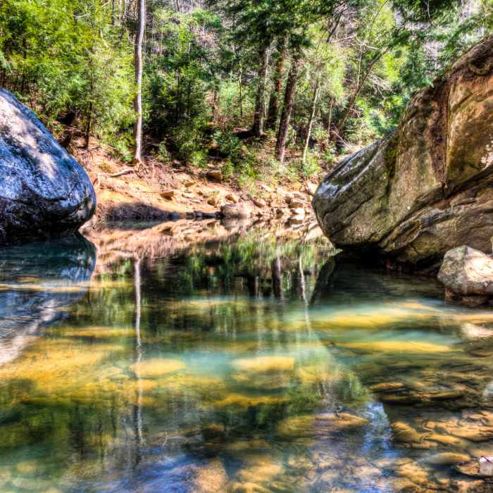 Sipsey Wilderness Near Randolph - Sipsey Loop