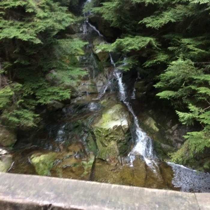 Near Brothers Creek Loop