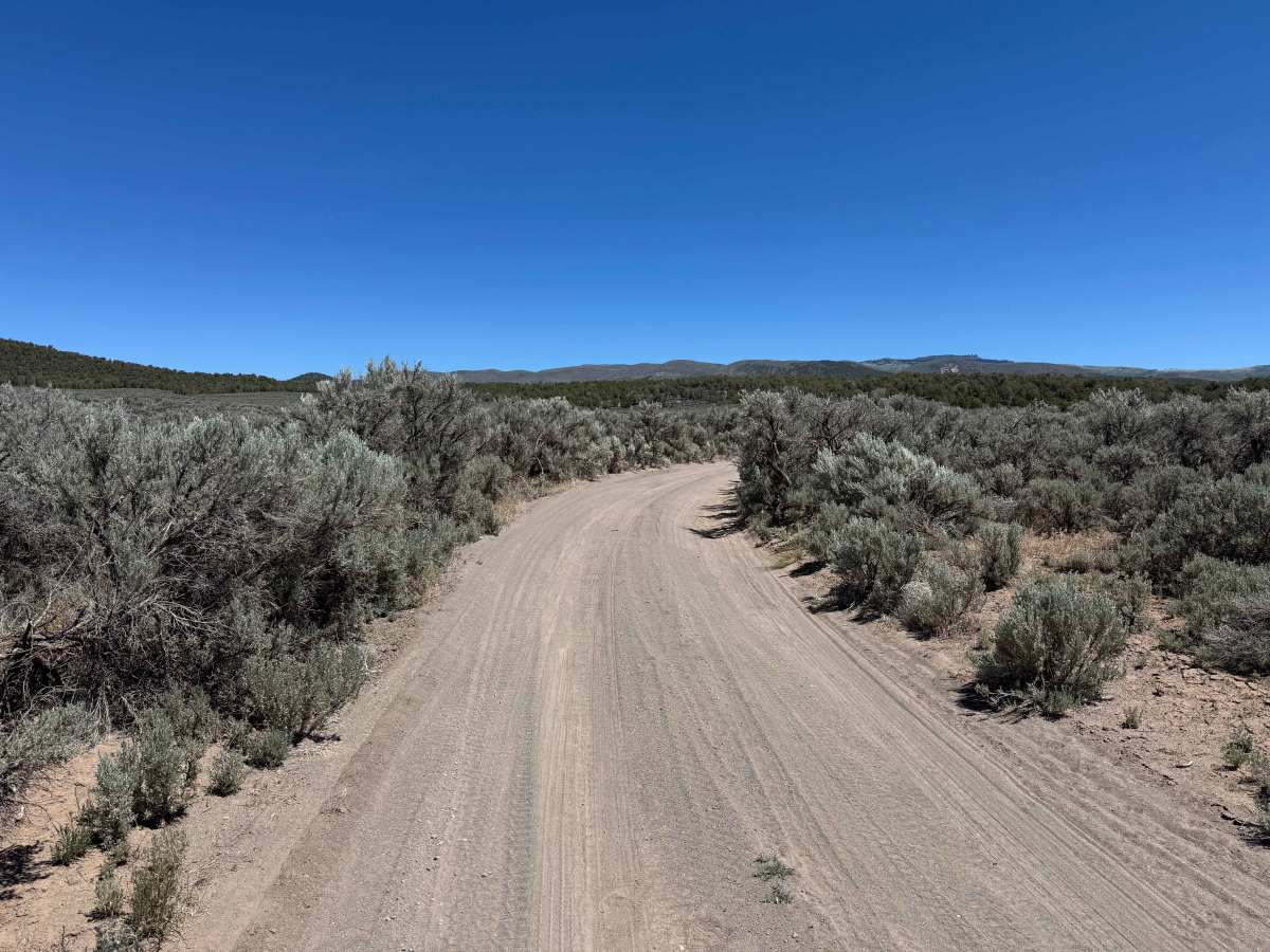 BLM 8480B photo 2
